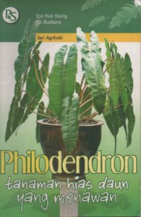 Philodendron : Tanaman Hias Daun yang Menawan
