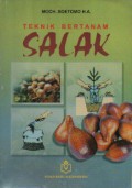 Teknik Bertanam Salak