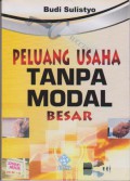 Peluang Usaha Tanpa Modal Besar
