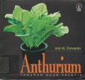 Anthurium : Tanaman Daun Eksotik