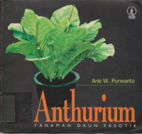 Anthurium : Tanaman Daun Eksotik